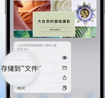 徐水apple维修中心分享iPhone文件应用中存储和找到下载文件