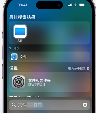 徐水apple维修中心分享iPhone文件应用中存储和找到下载文件 