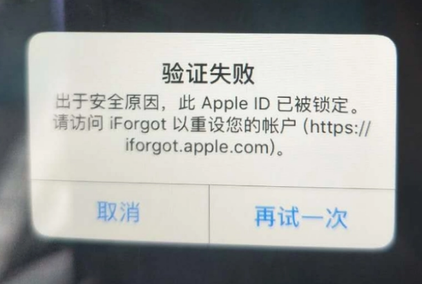 徐水iPhone维修分享iPhone上正常登录或使用AppleID怎么办 