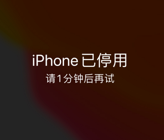 徐水苹果手机维修分享:iPhone 显示“不可用”或“已停用”怎么办？还能保留数据吗？ 