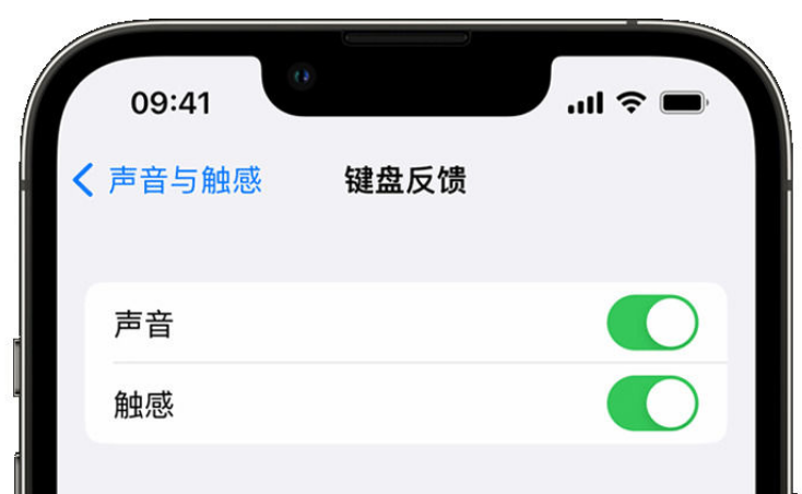 徐水苹果手机维修分享iPhone 14触感键盘使用方法 