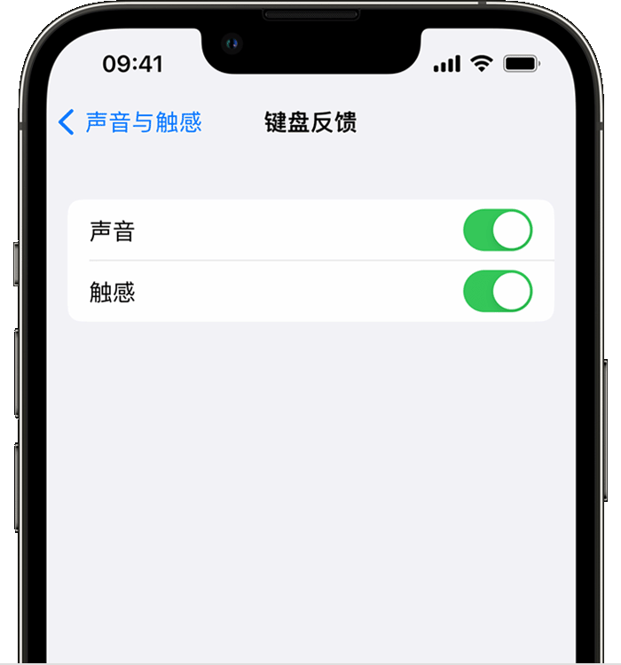 徐水苹果14维修店分享如何在 iPhone 14 机型中使用触感键盘 