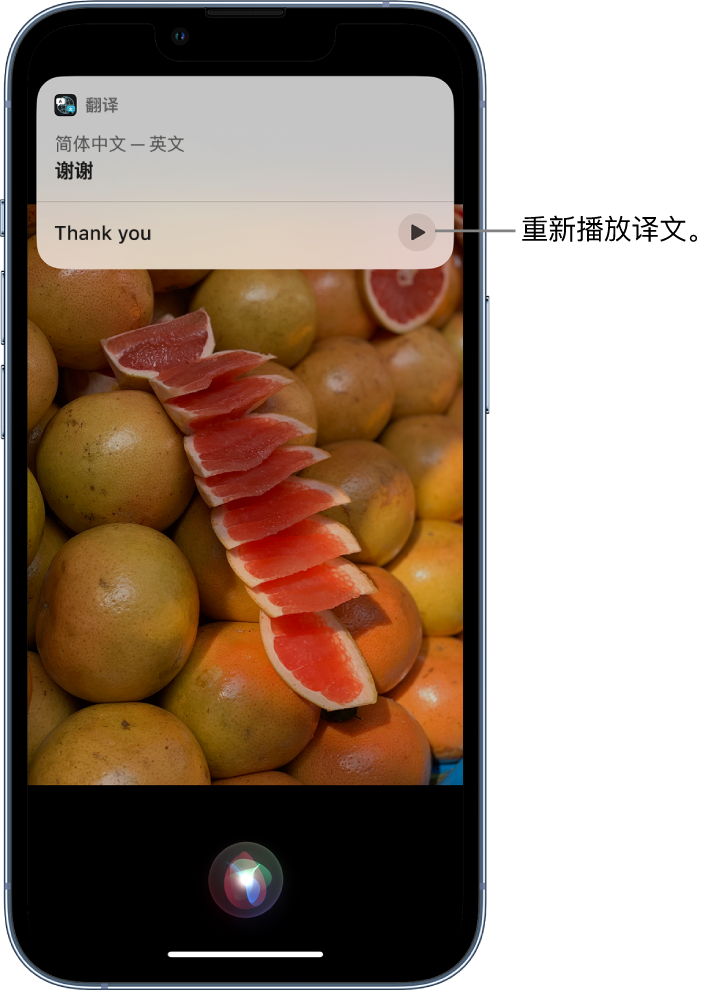 徐水苹果14维修分享 iPhone 14 机型中使用 Siri：了解 Siri 能帮你做什么 