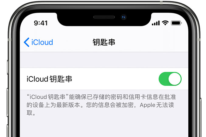 徐水苹果手机维修分享在 iPhone 上开启 iCloud 钥匙串之后会储存哪些信息 