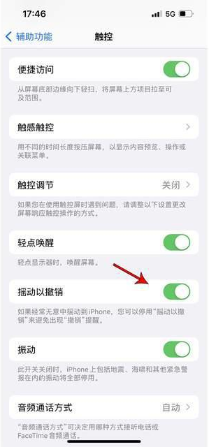 徐水苹果手机维修分享iPhone手机如何设置摇一摇删除文字 